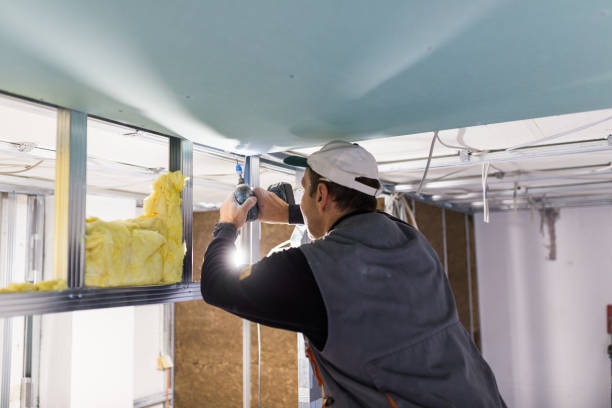 Best Fiberglass Insulation in Oak Grove, MN